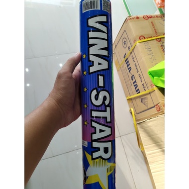 Ống Cầu Lông Vina Star