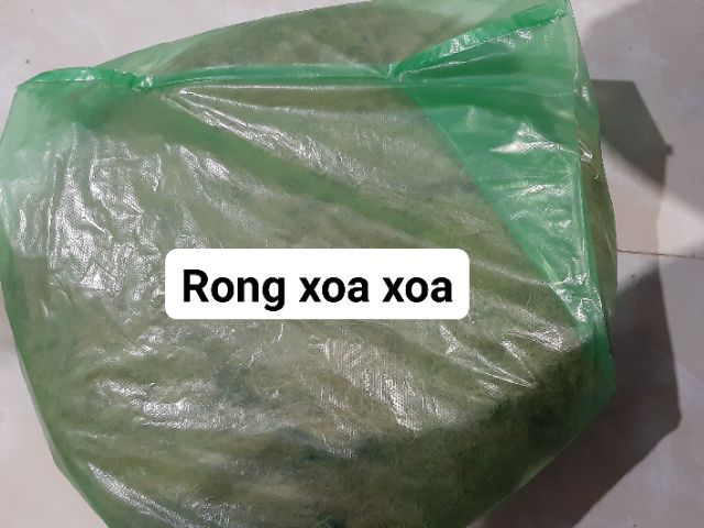 500gr Rau câu nấu xu xoa Phú Yên-Rau chưa giặt sạch