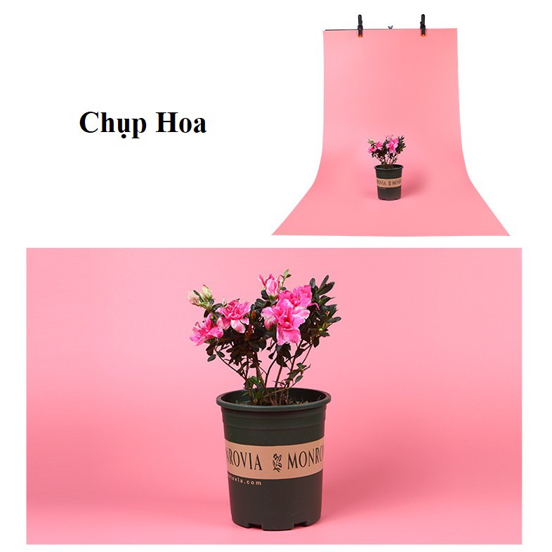 Phông nền chụp ảnh nhiều màu nhựa PVC size ( 50cm x 50cm)