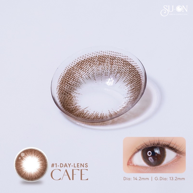 Lens 1 ngày Ann365 RICH CAFE áp tròng 14,2mm, nâu trong tự nhiên Hàn Quốc, siêu êm đeo cả ngày