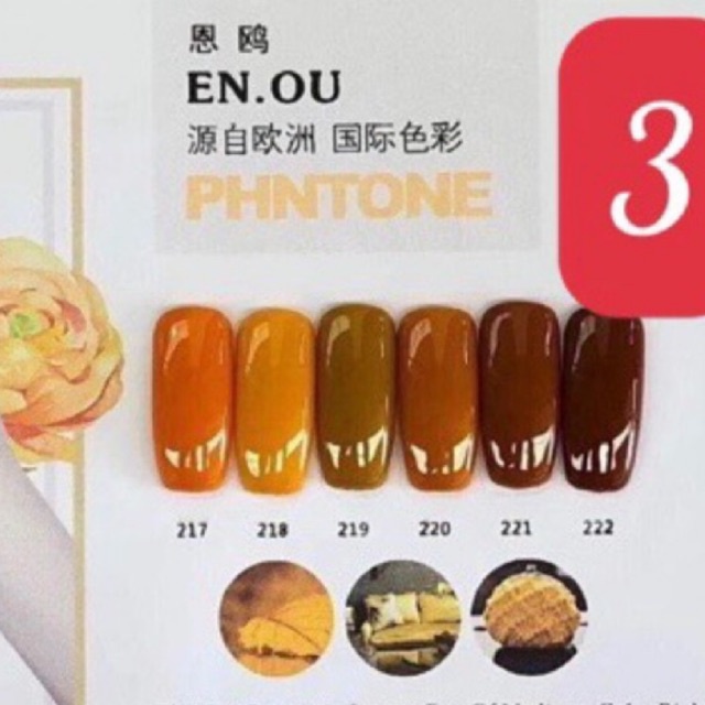Sét sơn enou chai lẻ (số thẻ màu tương ứng với bảng màu minh hoạ)