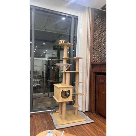 Võng meka nhập khẩu, võng nhựa cho mèo nằm