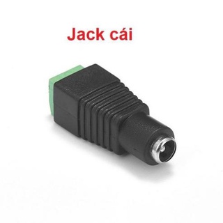 CB- Jack đực cái 5.5