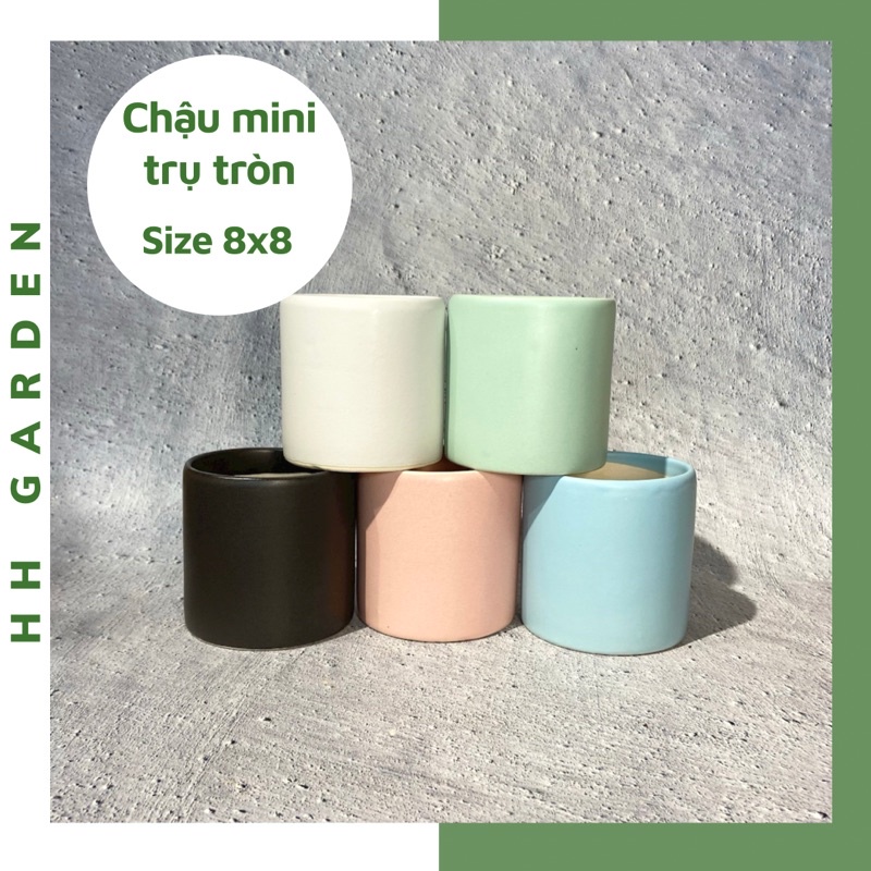 Chậu mini trụ tròn 8x8cm, chậu trồng cây sen đá xương rồng