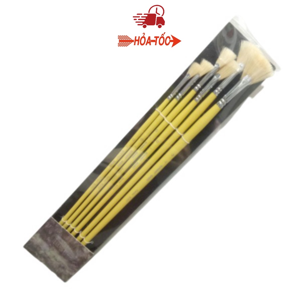 Bộ cọ quạt 5 cây Sunway Basic thân vàng B203 [ Sugi art shop]