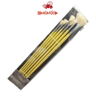 Bộ cọ quạt 5 cây Sunway Basic thân vàng B203