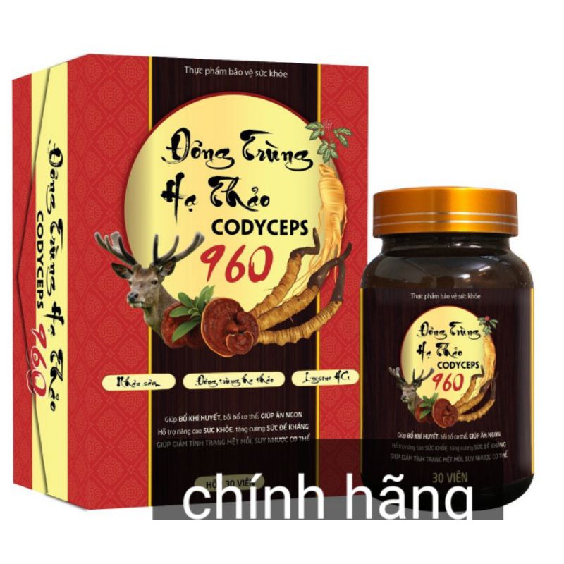 Đông Trùng Hạ Thảo codyceps 960
