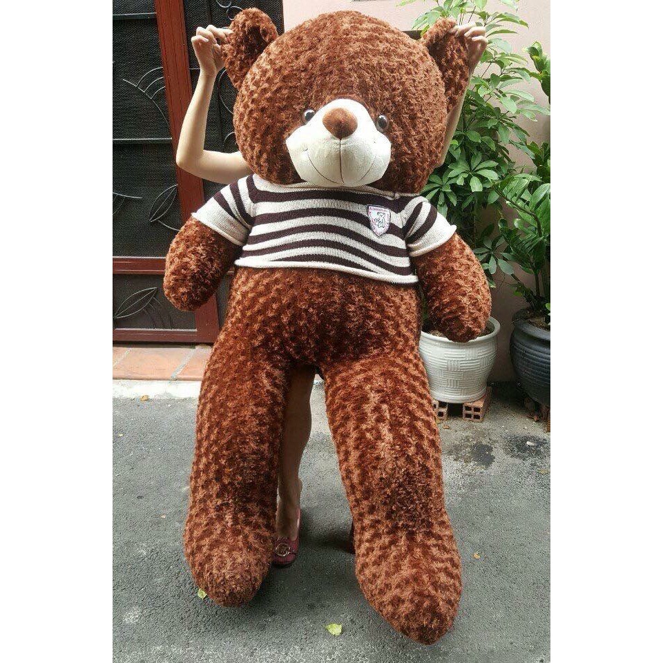 Gấu bông Teddy Cao Cấp khổ vải 1,6m Cao 1,4m màu nâu