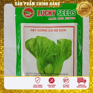 Hạt Giống Cải Bẹ Dưa(20 gr)