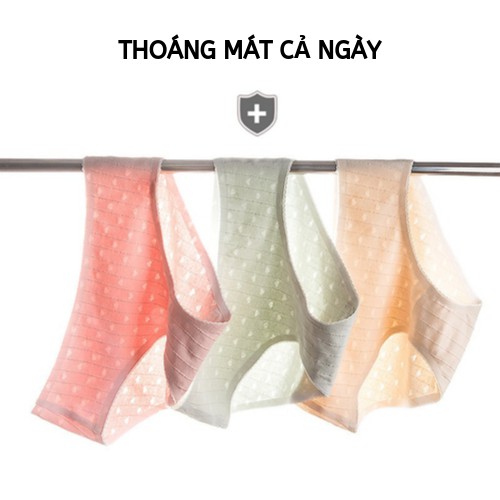 Original Quần Lót Seamless Panties Nữ Đáy Viscose Bikini Thông Hơi Thắt Lưng Thun Cao Cấp ZK GR863 II Nội Địa Trung Nam