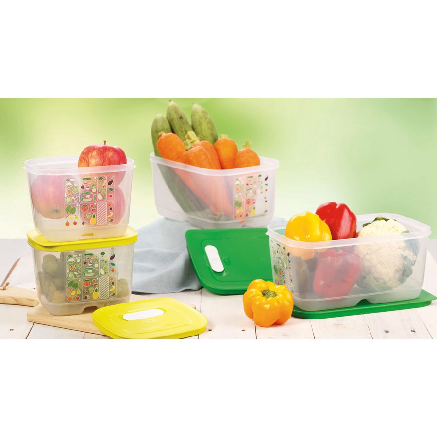 Bộ hộp trữ mát có nút hô hấp Tupperware Ventsmart 4 hộp