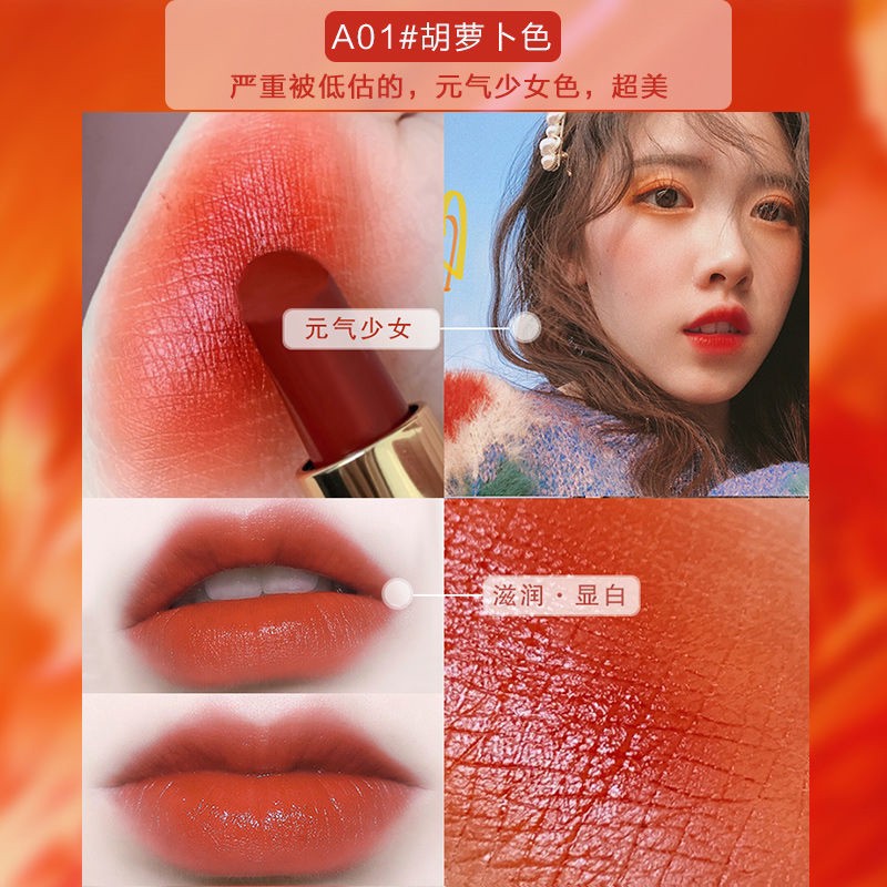 (Hàng Mới Về) Son Lì Dưỡng Ẩm Chống Nước Lâu Phai Nhiều Màu Sắc Lựa Chọn | BigBuy360 - bigbuy360.vn