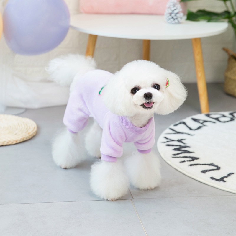 Áo Sweater Cotton Dày Dặn Thêu Họa Tiết Trái Cây Thời Trang Thu Đông Cho Thú Cưng