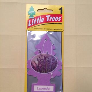Cây thông thơm Little Trees Mỹ