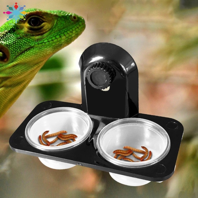 COD Chậu Rửa Thức Ăn Đa Năng Tiết Kiệm Nước Cho Bọ Rùa Nhện Xanh Lá Iguanas
