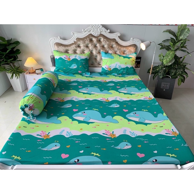Bộ Drap thun Hàn Quốc mẫu cá voi gồm 6 màu