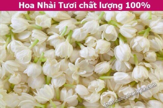 Trà hoa bát tiên 1 kg hàng việt nam chất lượng cao Hoa khô