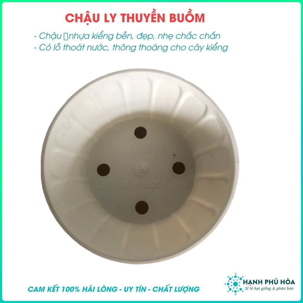 Bộ 3 Chậu Ly Thuyền Buồm Trồng Cây Kiểng-Kích Cỡ: 24cm, 30cm, 40cm