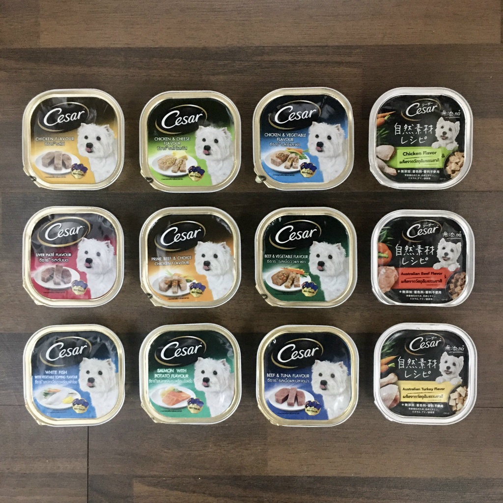 Pate cho chó Cesar 100g chó con, chó trưởng thành