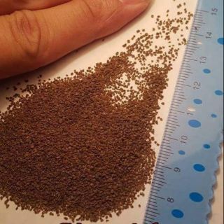 Cám đạm đậm đặc