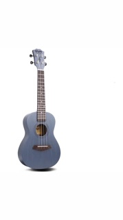 Ukulele BWS 23 full pk