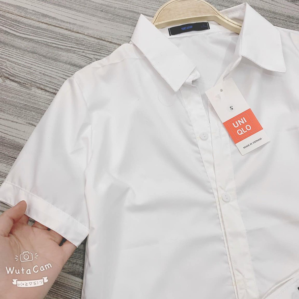 Áo Sơ Mi Cộc Tay Nữ Đẹp 💖𝑭𝑹𝑬𝑬𝑺𝑯𝑰𝑷💖 ÁO T-SHIRT CÔNG SỞ NỮ | BigBuy360 - bigbuy360.vn