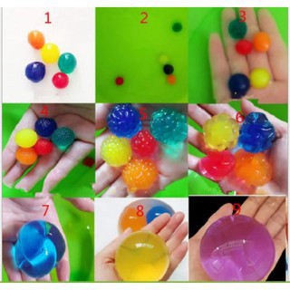 10 Hạt nở Nhật Bản siêu to khổng lồ  cỡ đại cực lớn (ko phải cỡ nhỏ hay cỡ trung như hàng bình thườn