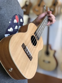 Đàn Ukulele Gỗ Cao Cấp STATION