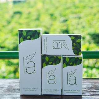 TINH DẦU BẠC HÀ PEPPERMINT 10ML-100ML
