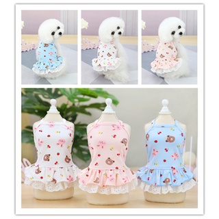 DP054-Váy thun 2 dây gấu Teddy dễ thương cho chó  mèo, quần áo thú cưng