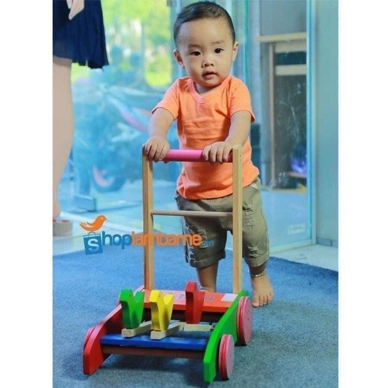 Xe chim tập đi cho bé