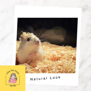 Mùn cưa hamster 1.2kg