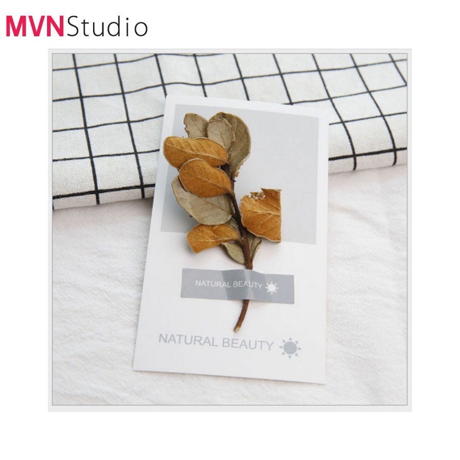 MVN Studio - 7 mẫu thiệp cây, hoa, lá khô phụ kiện trang trí đạo cụ chụp ảnh