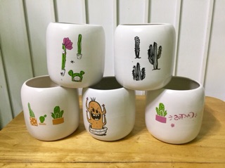 Chậu sứ trồng cây siêu cute