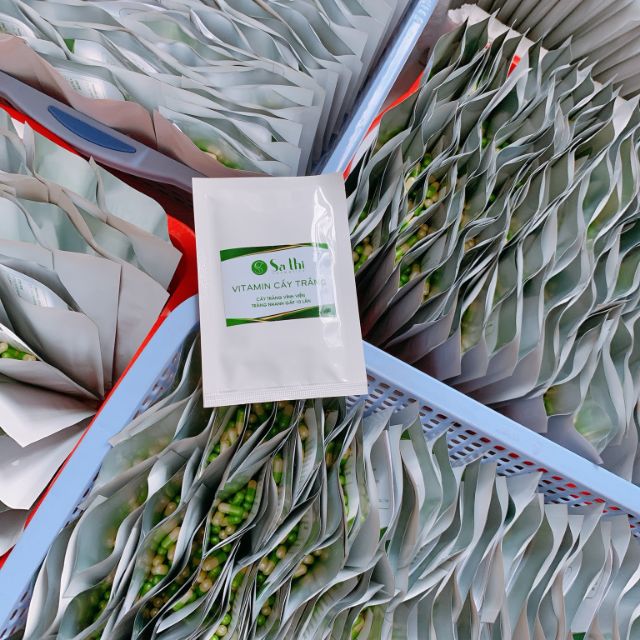 1200 Viên VTM Cấy Trắng Sa Thị - Chính Hãng