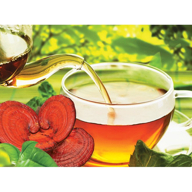 Trà Linh Chi Nhất Long - Hỗ trợ ổn định đường huyết, ổn định huyết áp, giảm mỡ máu (Hộp 30 gói)