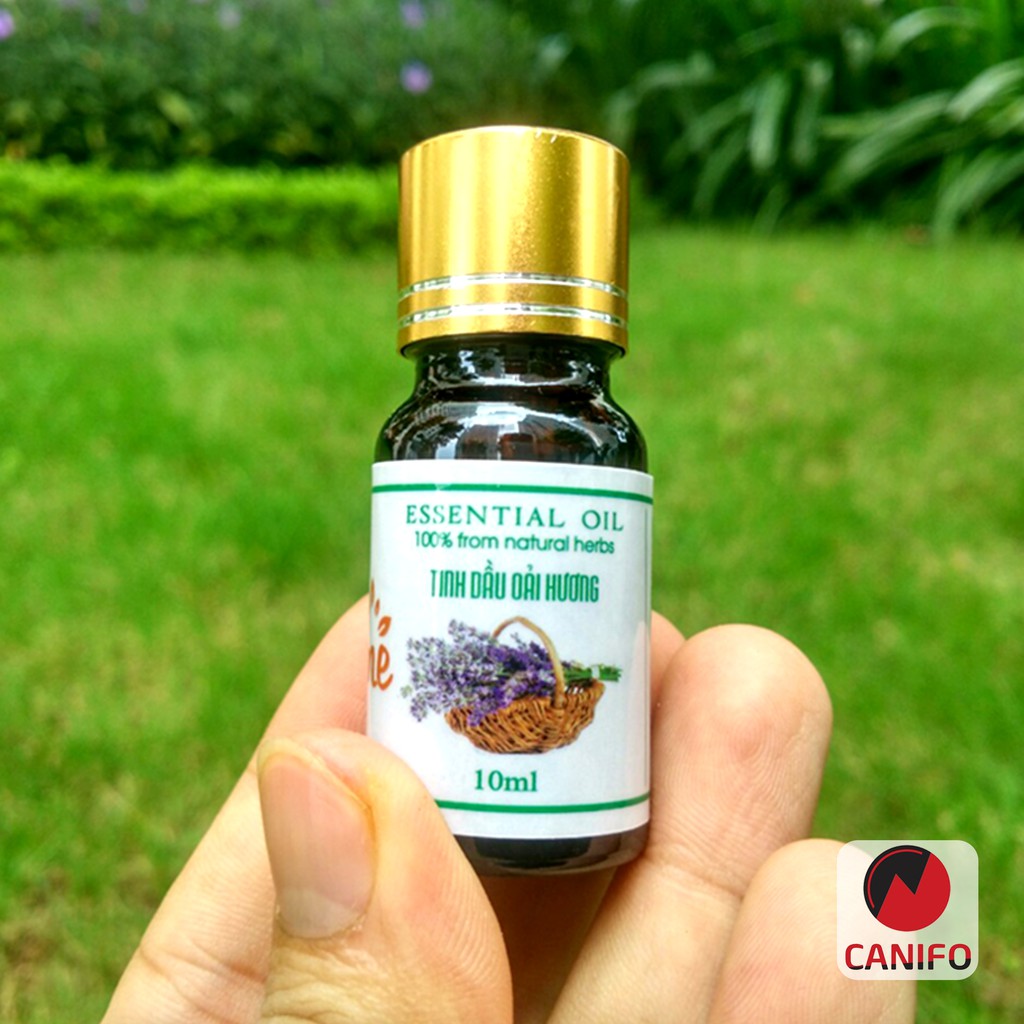 Tinh dầu oải hương CANIFO 10ml,tinh dầu  thiên nhiên nguyên chất, hương thơm quyến rũ, khử mùi hiệu quả