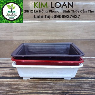 Combo 4 chậu nhựa bonsai chữ nhật mini 17x12x5cm