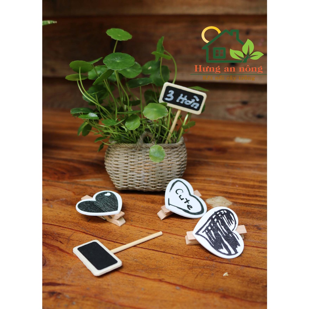 Sét 50 - Thẻ gỗ bản chữ nhật bản tim size mini dùng ghi tên giống cây, trang trí chậu,