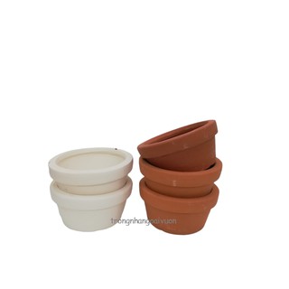 Chậu đất nung Trệt 12x6 (đỏ/trắng)