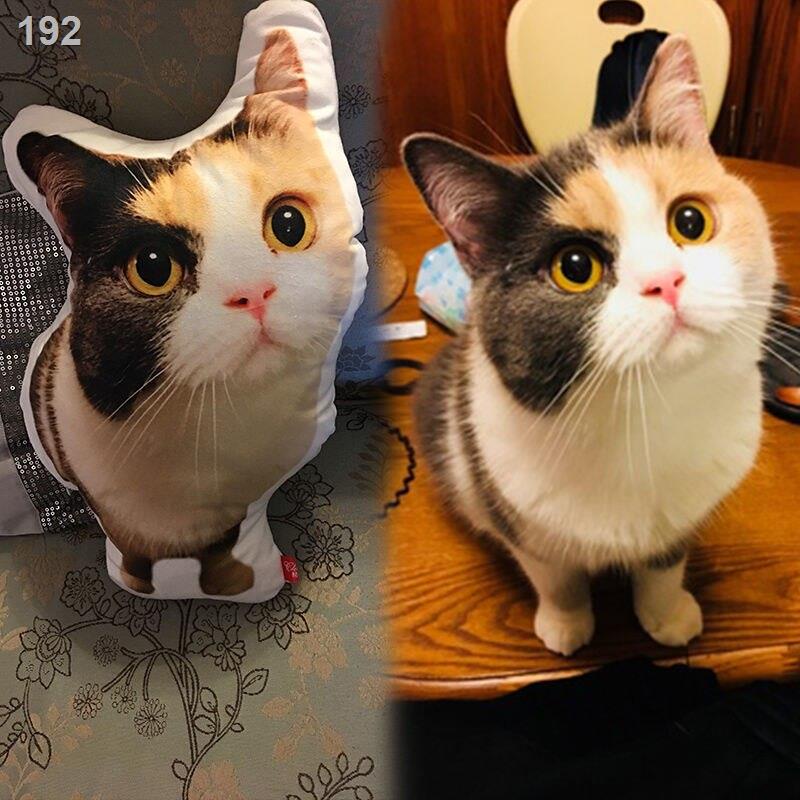 【hàng mới】Mèo và chó dễ thương để lên đồ gối hình tùy chỉnh Tự làm đệm quà tặng ảnh 3D anime thắt lưng [đăng vào ngày 31