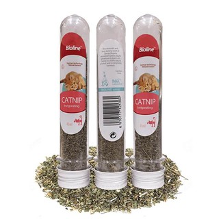 Catnip Bạc Hà - Cỏ Mèo Khô