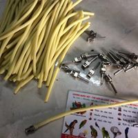 Đầu đút bột cho Vẹt non