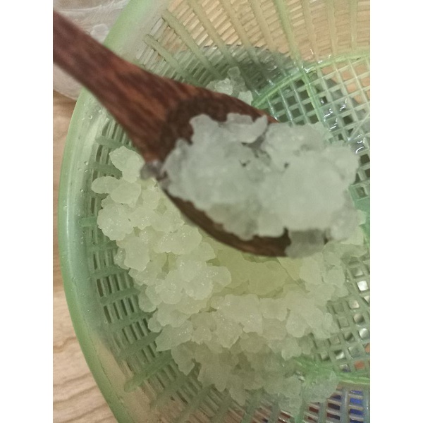 Water kefir (nấm nước)