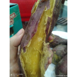 Khoai lang giống nhật (1kg)