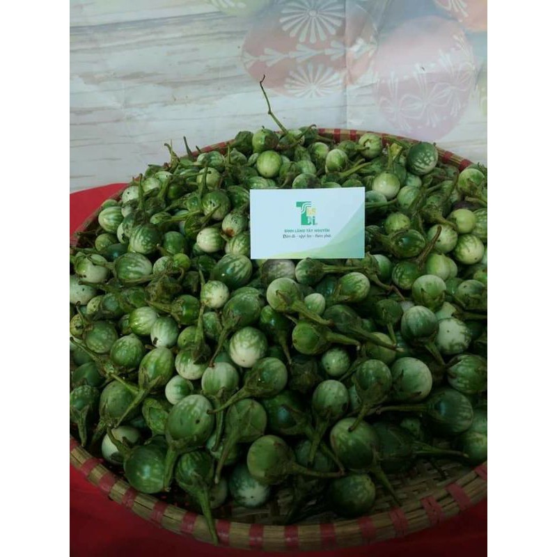 cà đắng tây nguyên 1kg