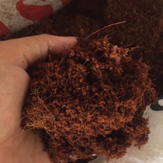 Mùn xơ dừa bao 2dm3