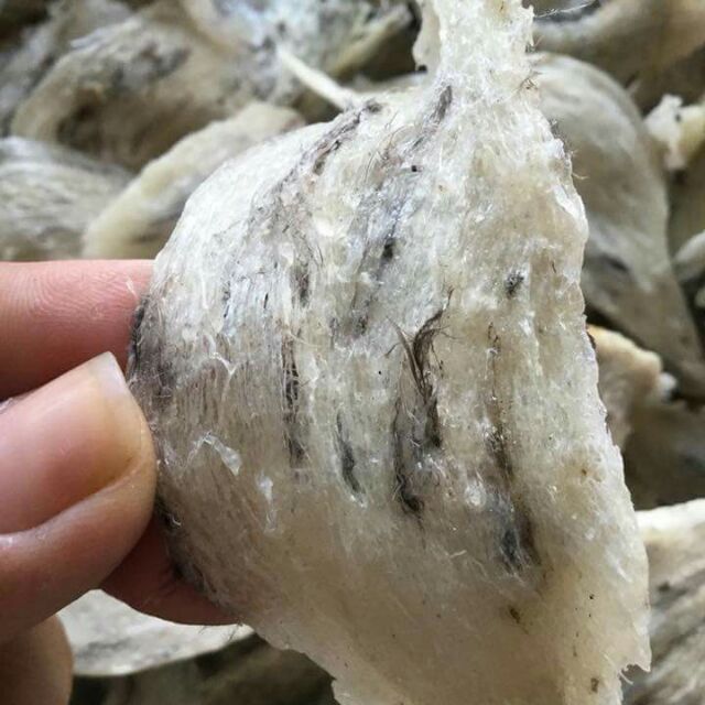 Yến thô nguyên lông