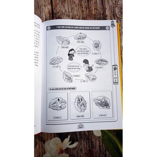 Tứ Bộ Y Điển - Mật Pháp Và Thực Dung (Tập 1)
