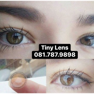 [Mã 01] Lens brown tự nhiên (có sẵn)